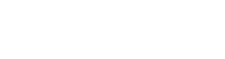 Logo du Groupe SYNOV blanc